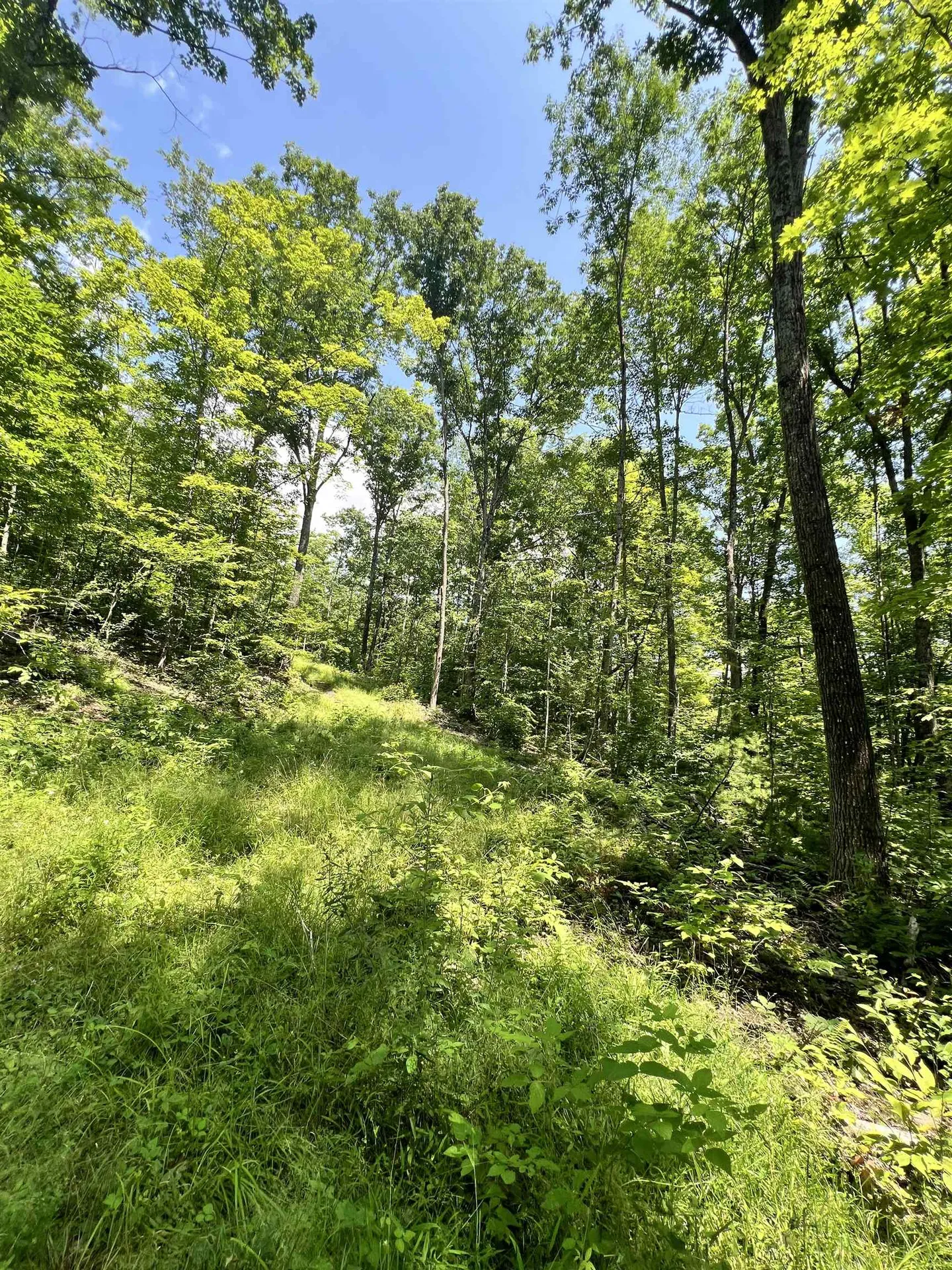 - Denio Road Barnet VT 05821