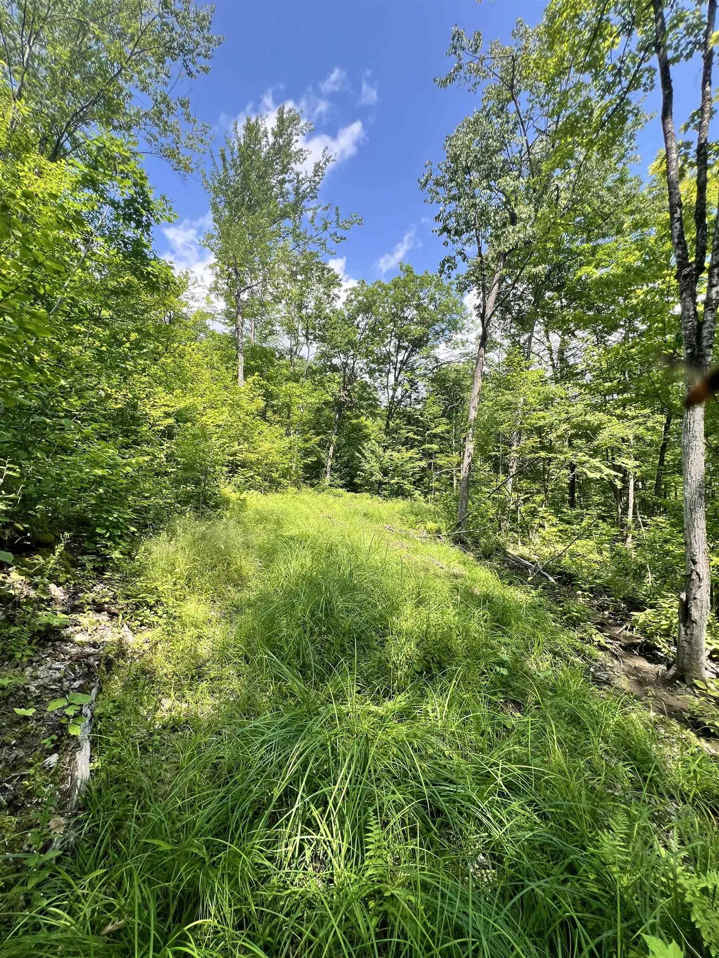 - Denio Road Barnet VT 05821