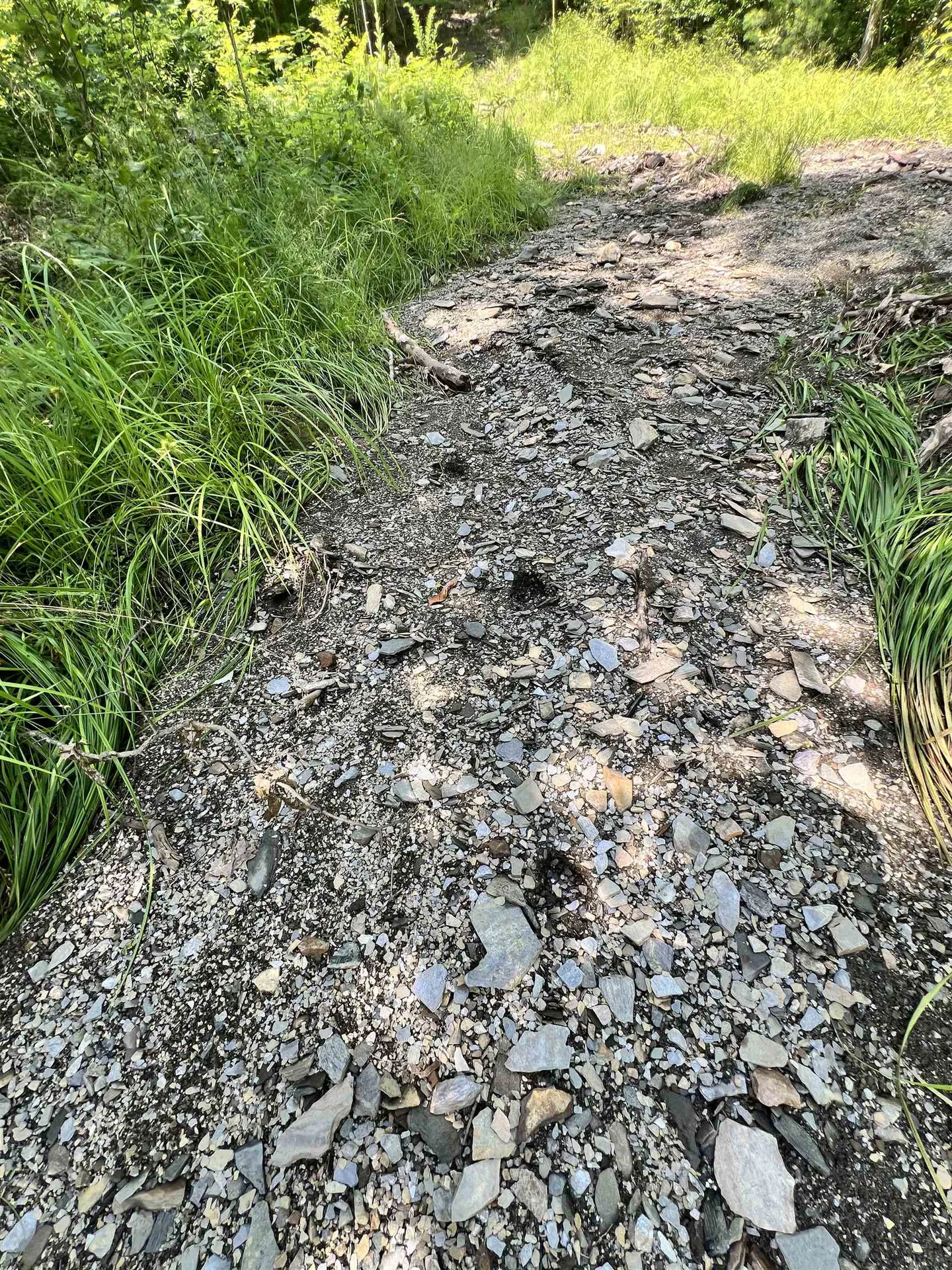 - Denio Road Barnet VT 05821