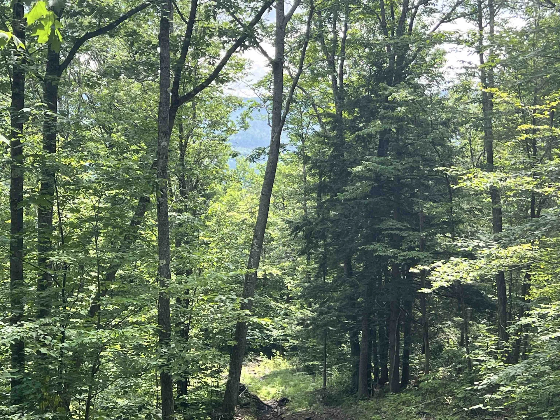 - Denio Road Barnet VT 05821