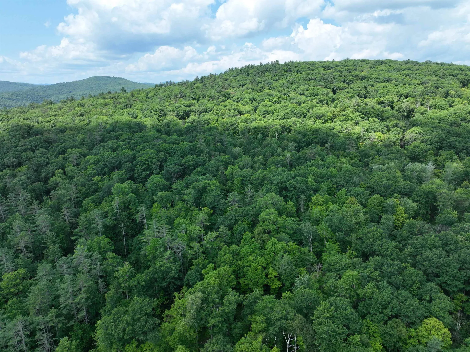 - Denio Road Barnet VT 05821