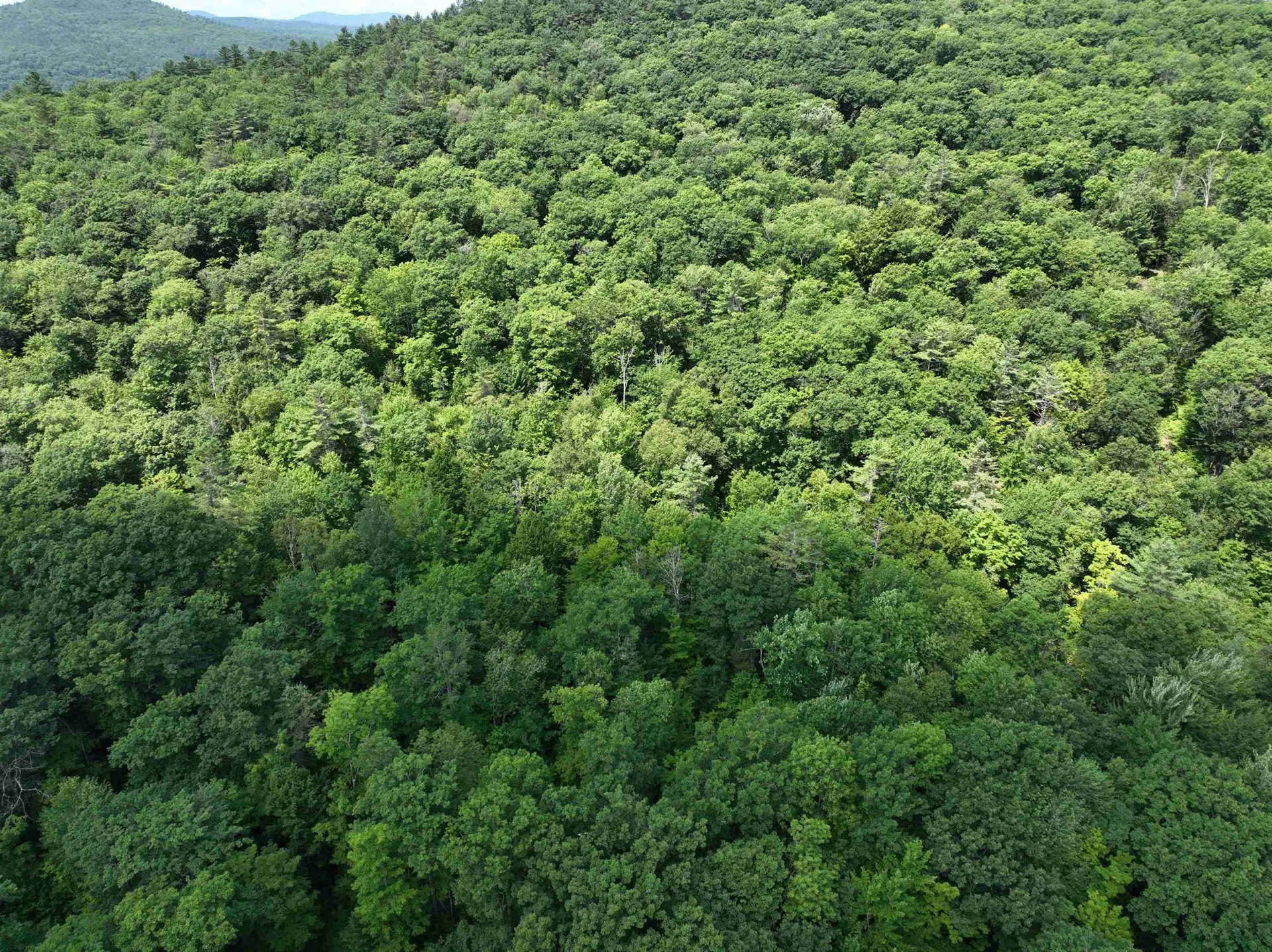 - Denio Road Barnet VT 05821