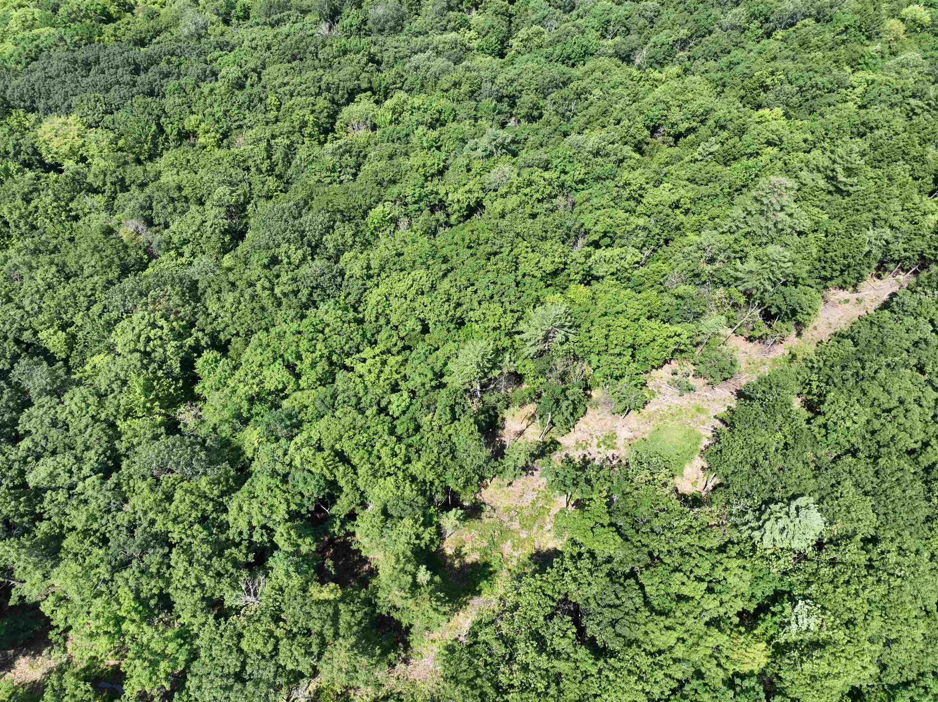 - Denio Road Barnet VT 05821