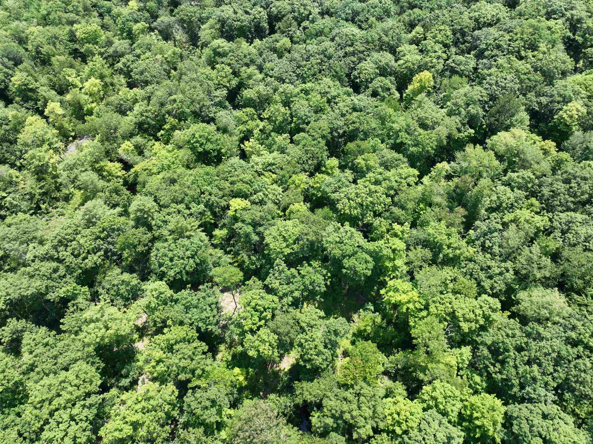 - Denio Road Barnet VT 05821