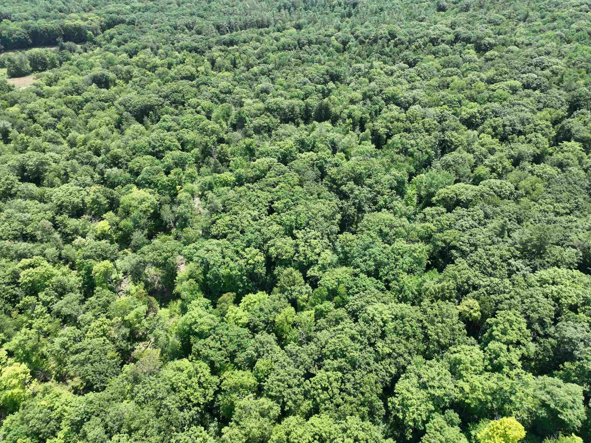 - Denio Road Barnet VT 05821