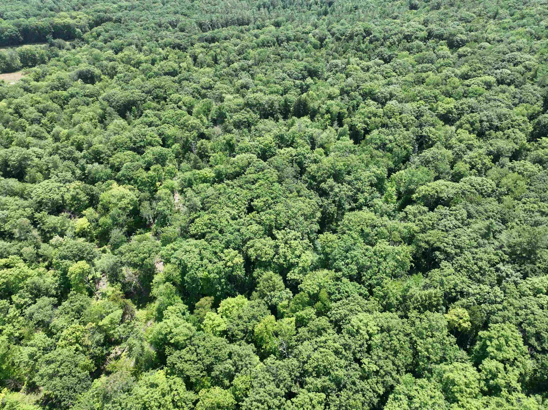 - Denio Road Barnet VT 05821