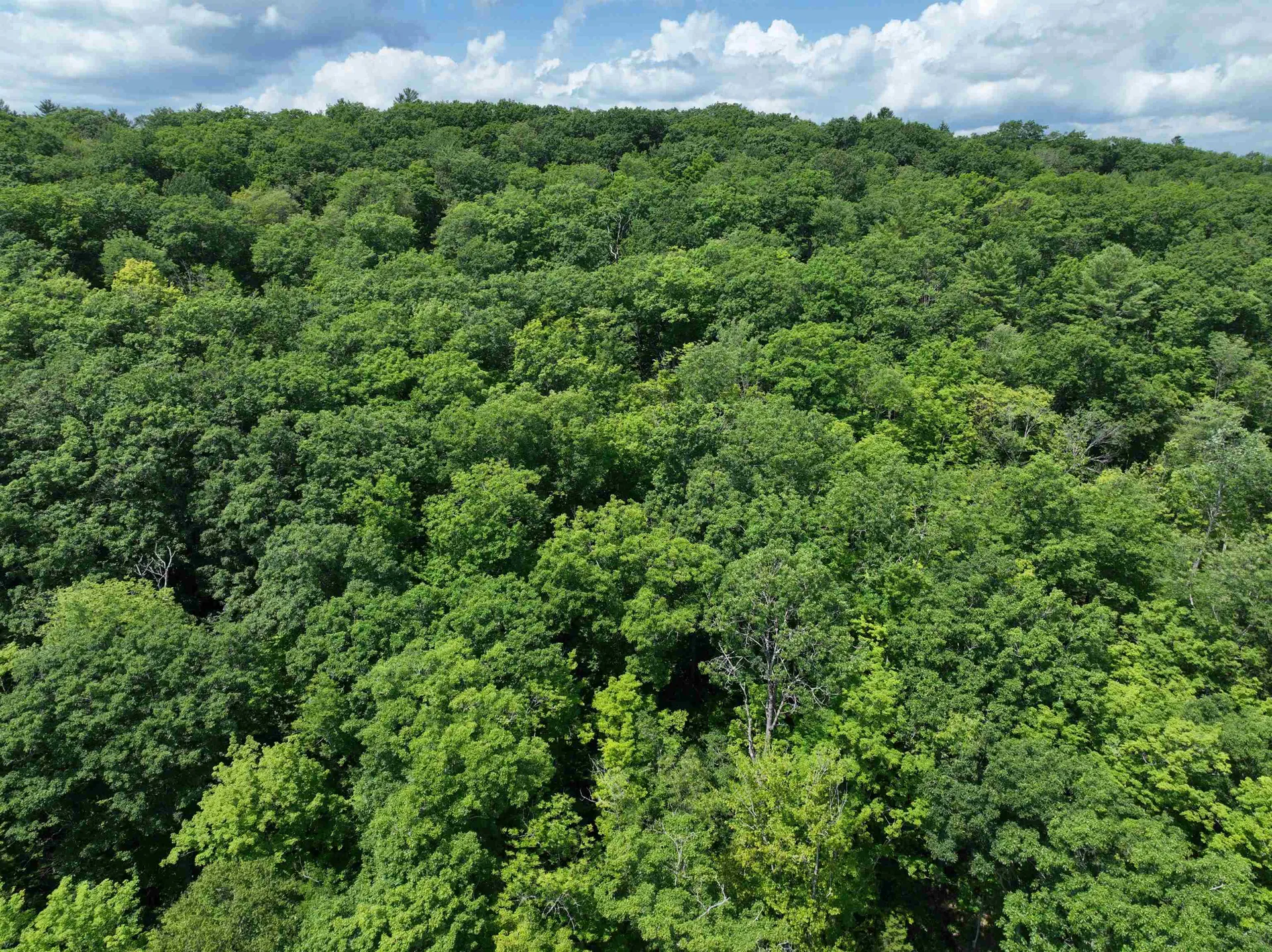 - Denio Road Barnet VT 05821