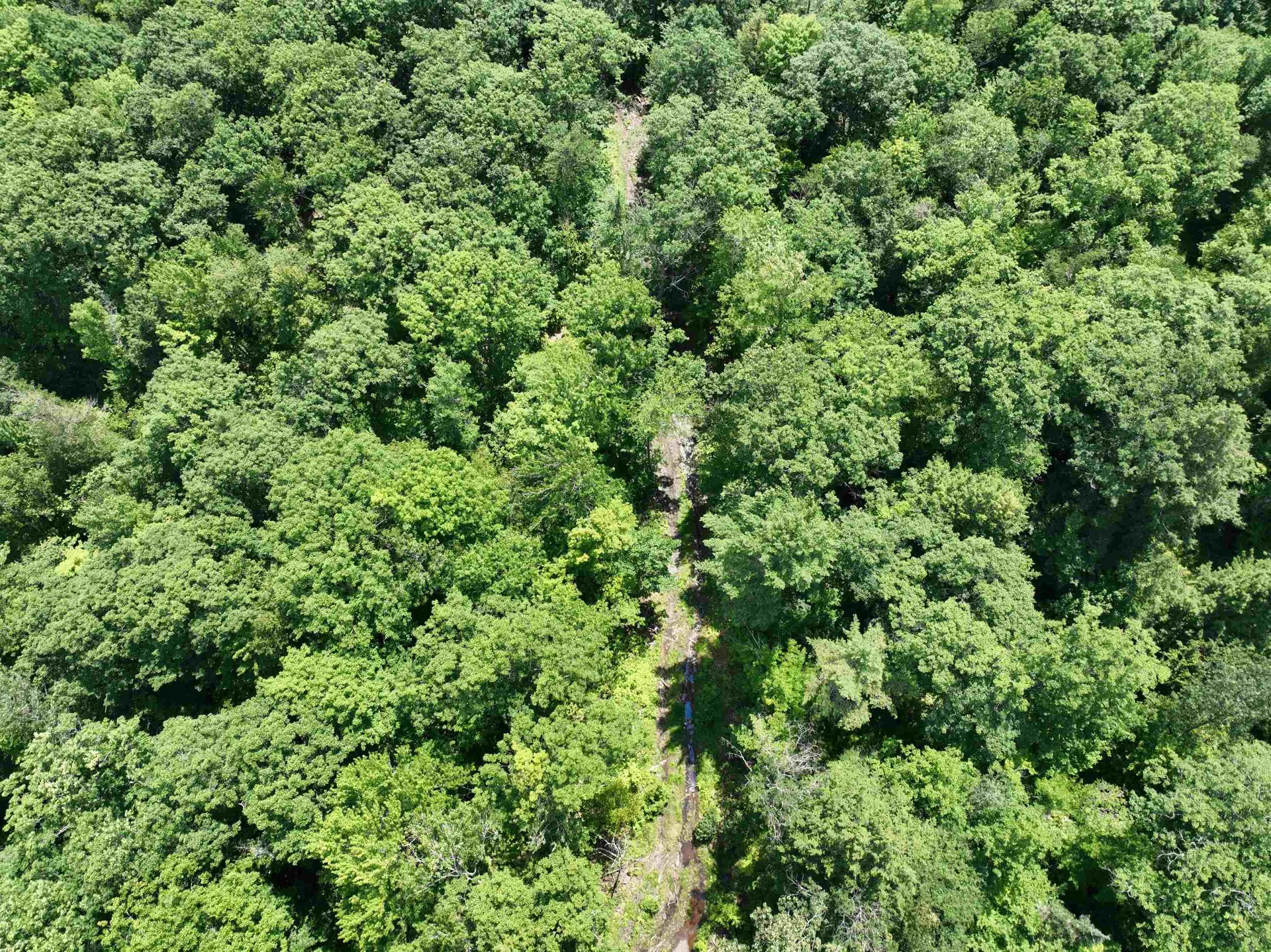 - Denio Road Barnet VT 05821