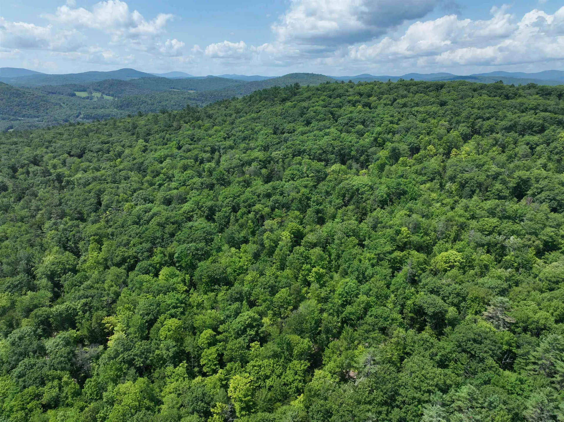 - Denio Road Barnet VT 05821