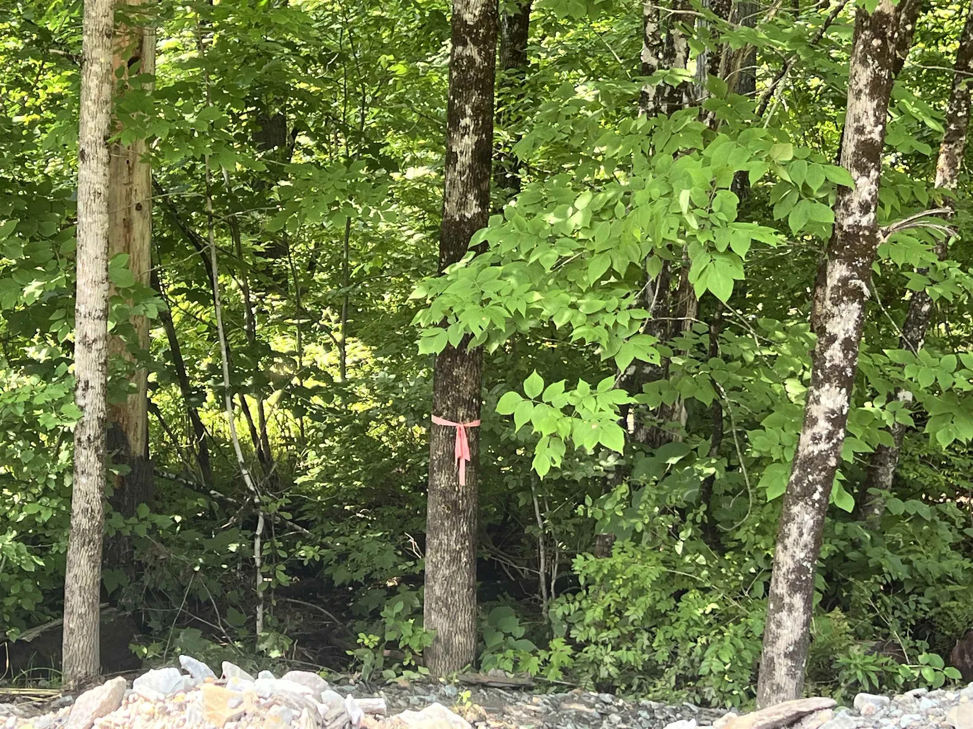 - Denio Road Barnet VT 05821