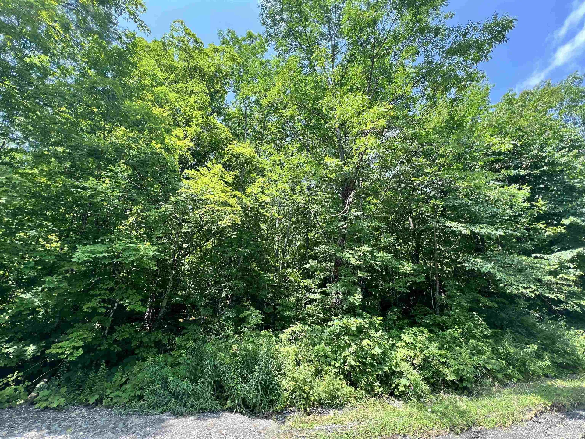 - Denio Road Barnet VT 05821