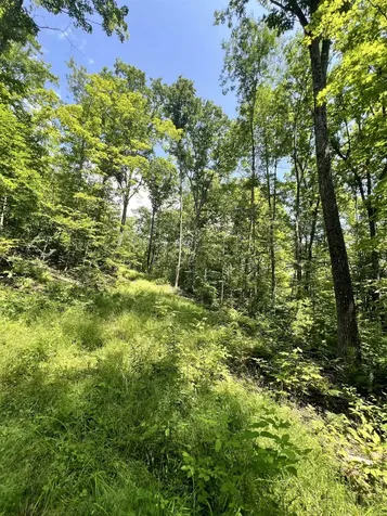 - Denio Road Barnet VT 05821