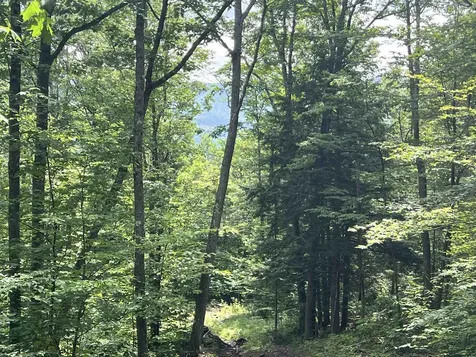 - Denio Road Barnet VT 05821