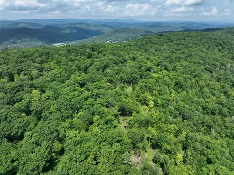 - Denio Road Barnet VT 05821