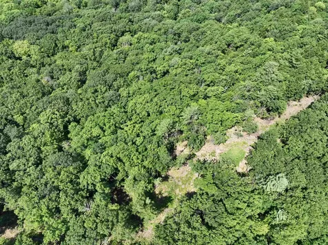 - Denio Road Barnet VT 05821