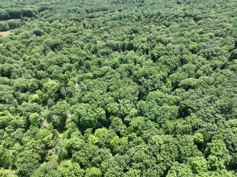 - Denio Road Barnet VT 05821