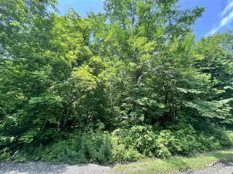 - Denio Road Barnet VT 05821