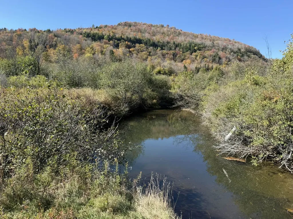 0 Vt Route 14 South Hardwick VT 05843