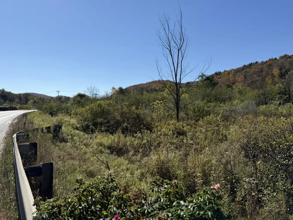 0 Vt Rt 14 South Hardwick VT 05843