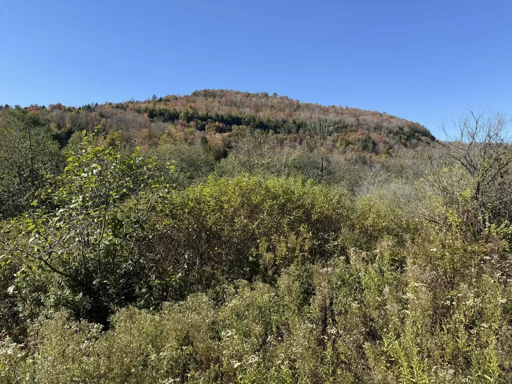 0 Vt Route 14 South Hardwick VT 05843