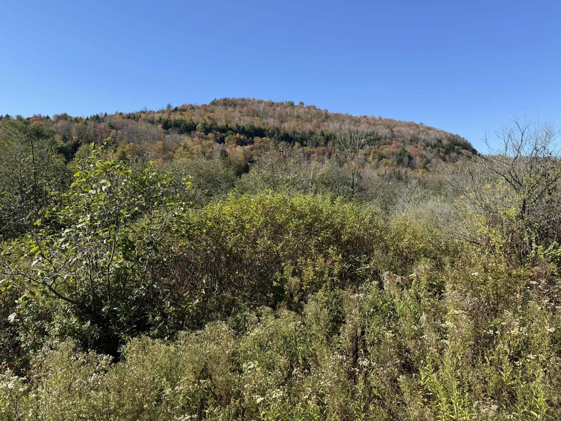 0 Vt Route 14 South Hardwick VT 05843