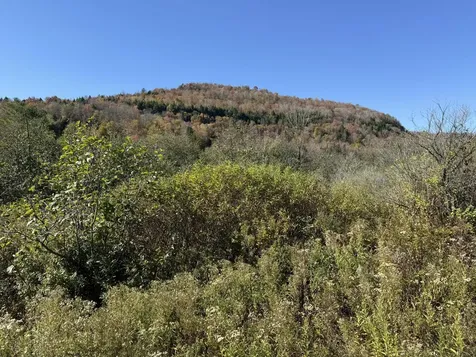 0 Vt Route 14 South Hardwick VT 05843