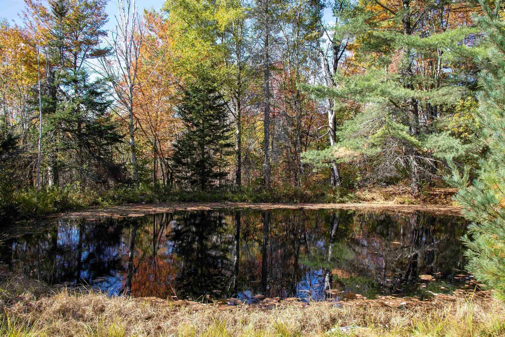 91 Venheim Road Lunenburg VT 05906