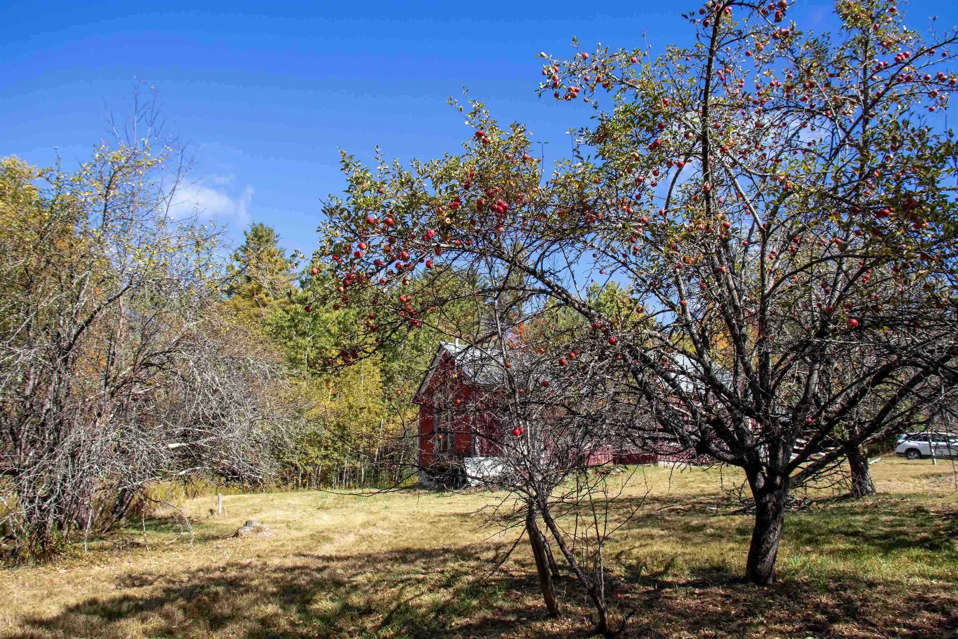 91 Venheim Road Lunenburg VT 05906