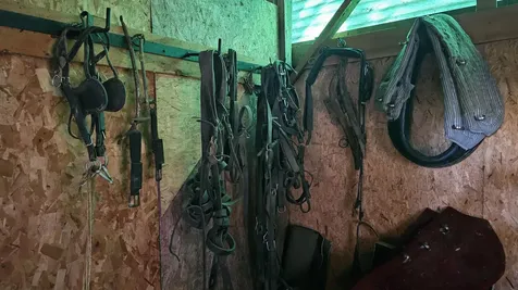 91 Venheim Road Lunenburg VT 05906