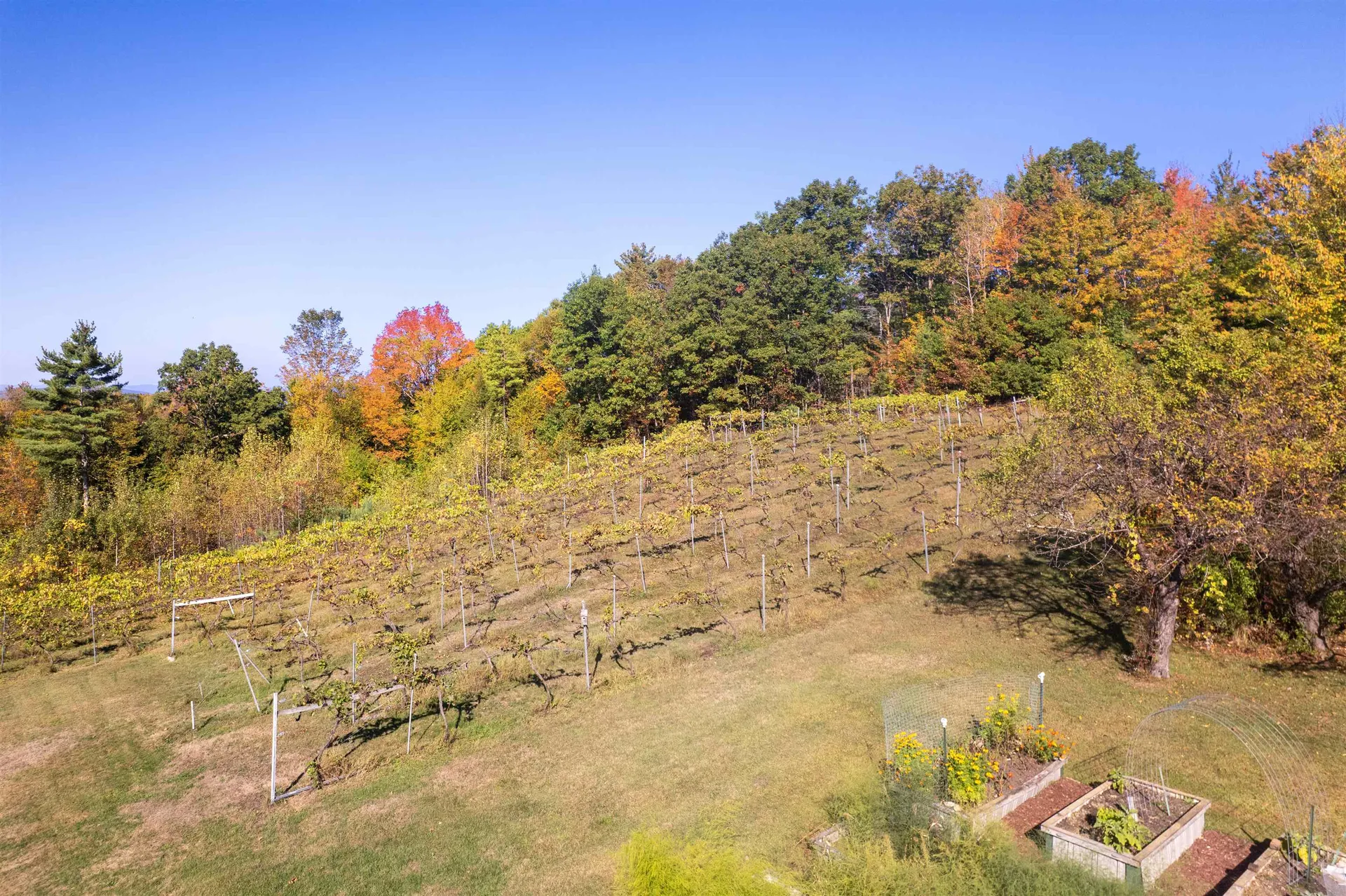 1975 Birch Hill Road Brandon VT 05733