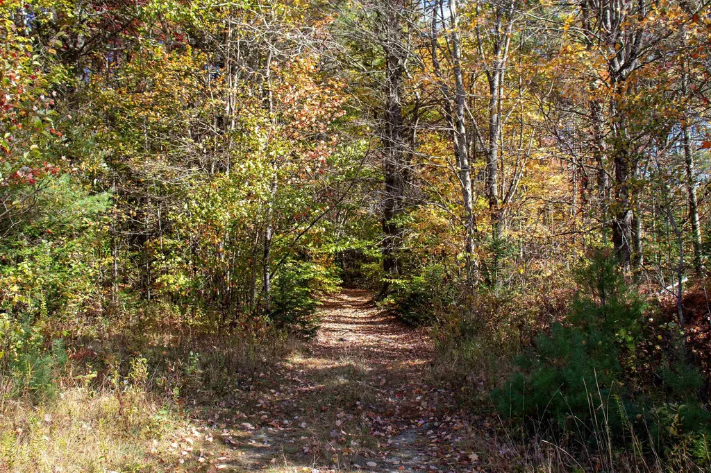 91 Venheim Road Lunenburg VT 05906