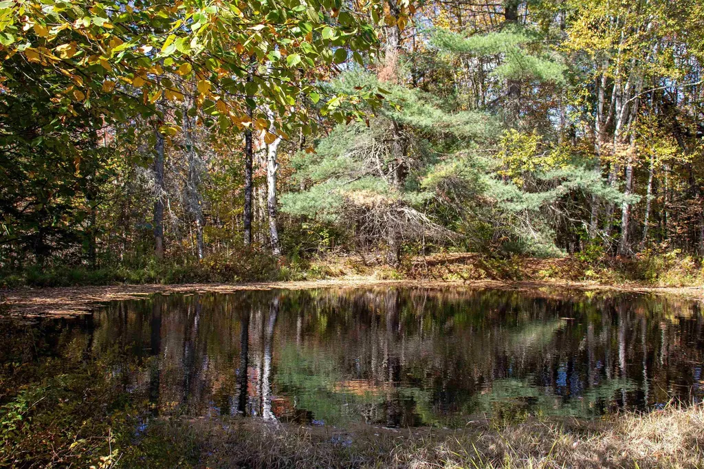 91 Venheim Road Lunenburg VT 05906