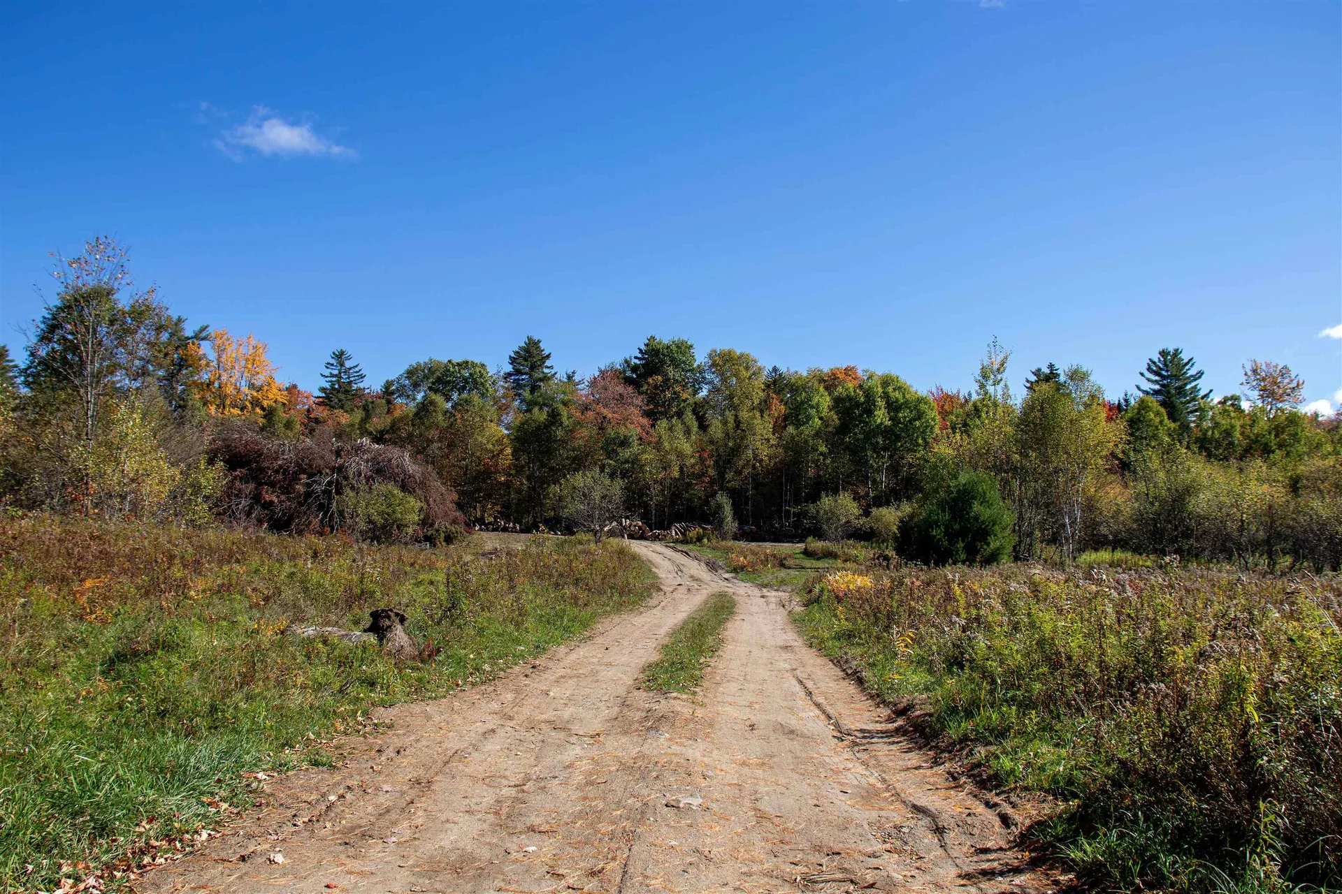 91 Venheim Road Lunenburg VT 05906