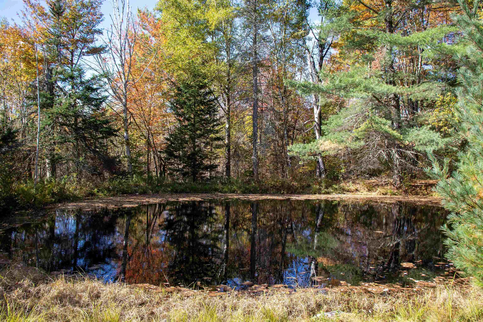 91 Venheim Road Lunenburg VT 05906