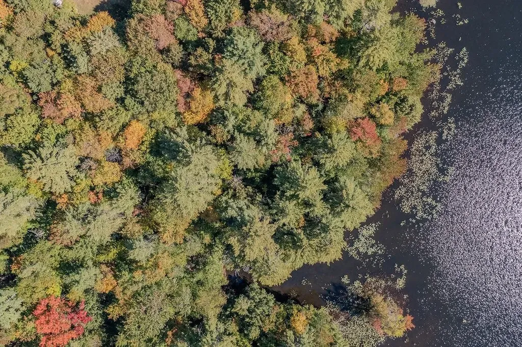 Quiet Cove Way Wilmot NH 03287