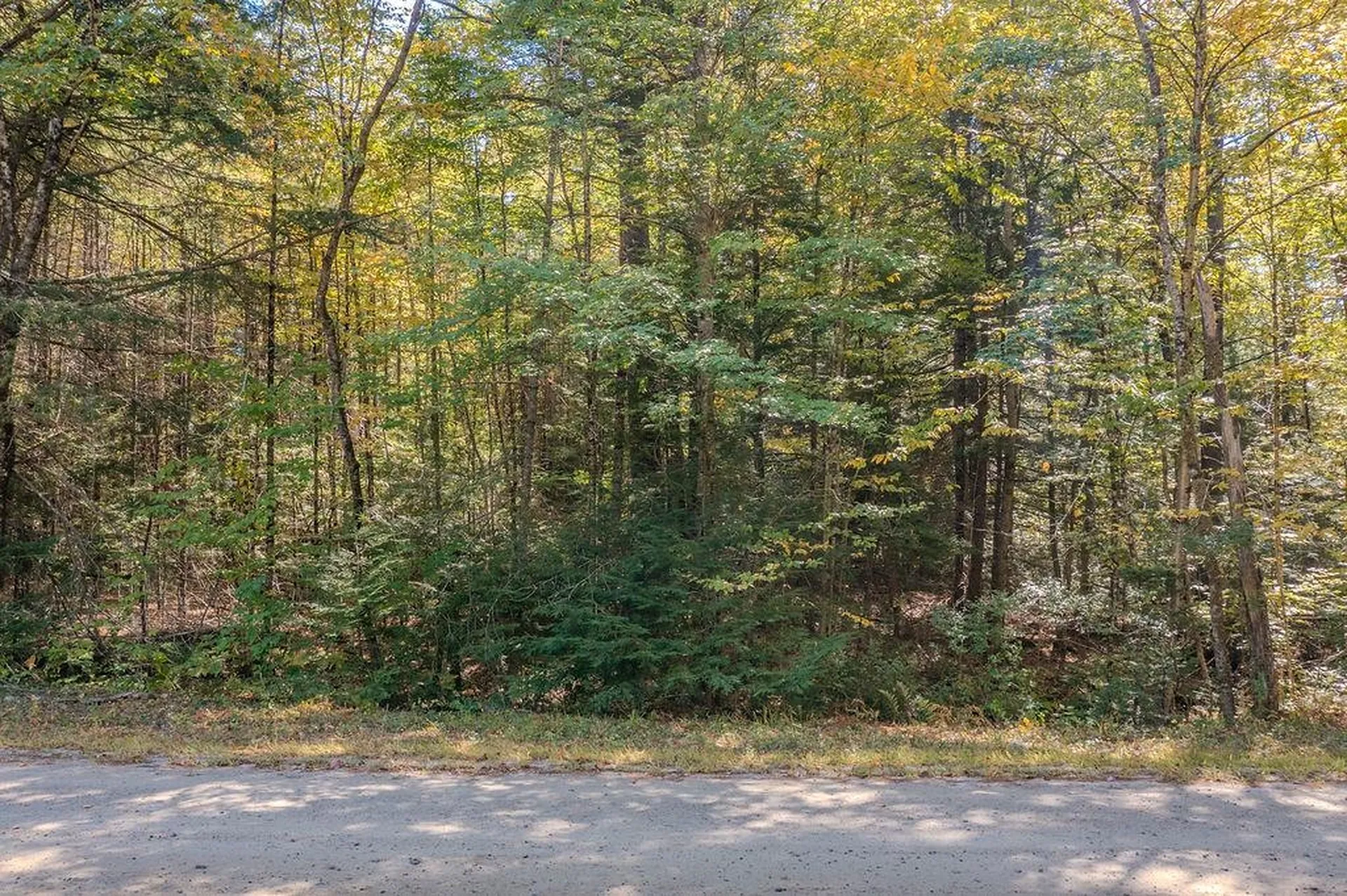 Quiet Cove Way Wilmot NH 03287