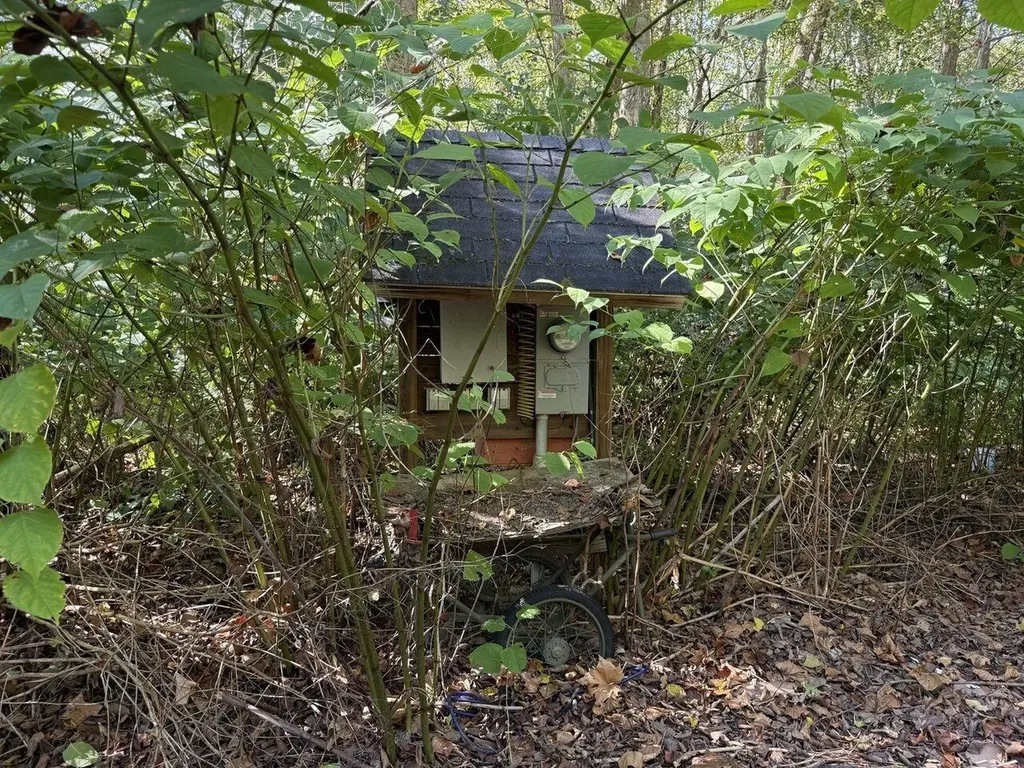 2024 Sycamore Park Bristol VT 05443