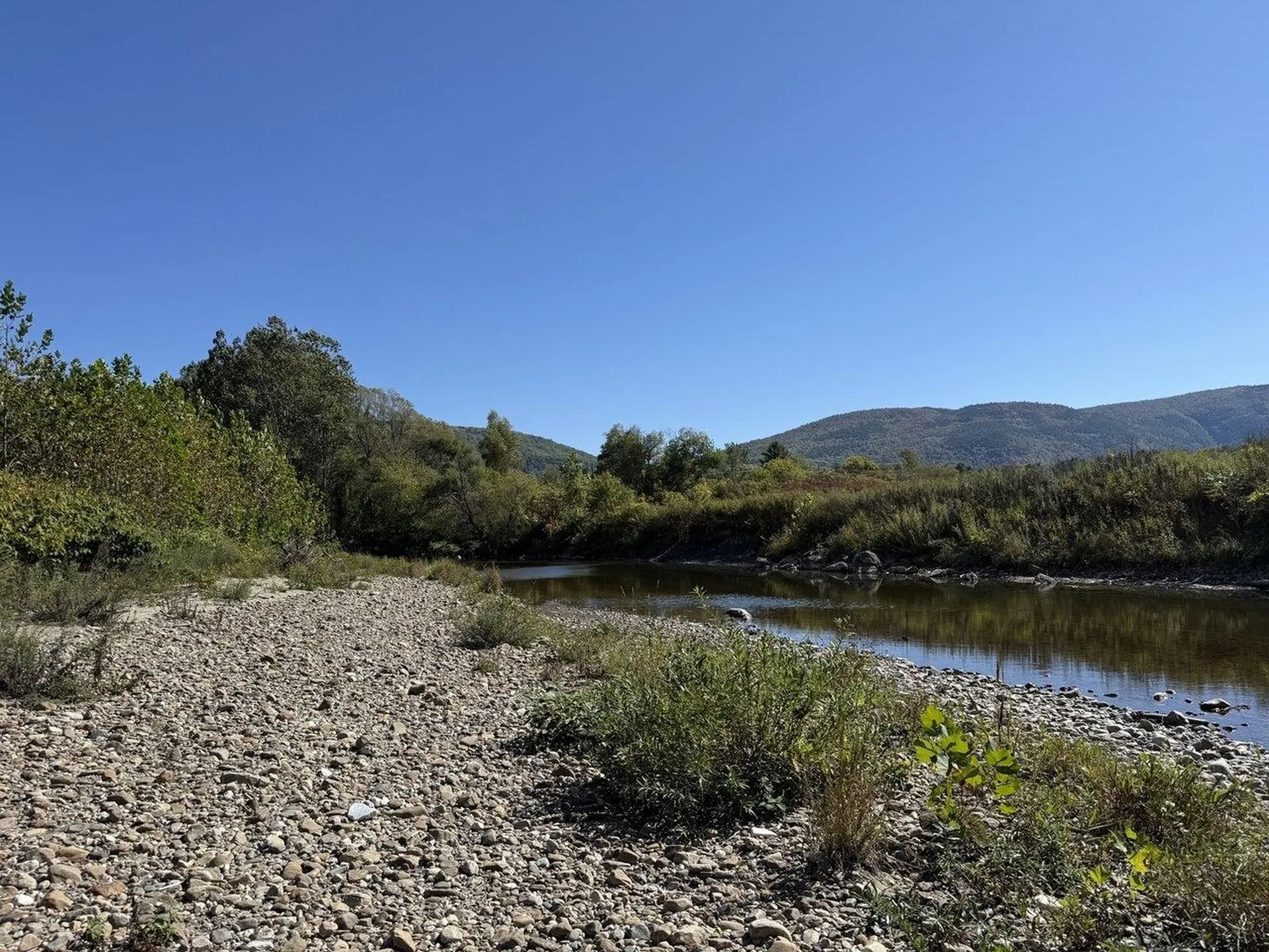 2024 Sycamore Park Bristol VT 05443