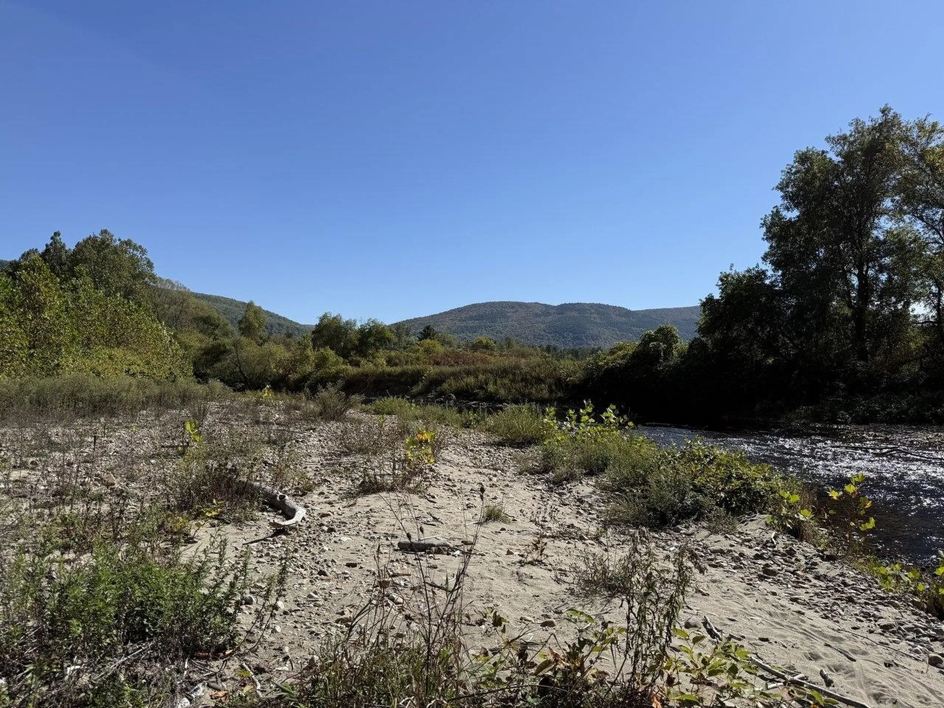 2024 Sycamore Park Bristol VT 05443