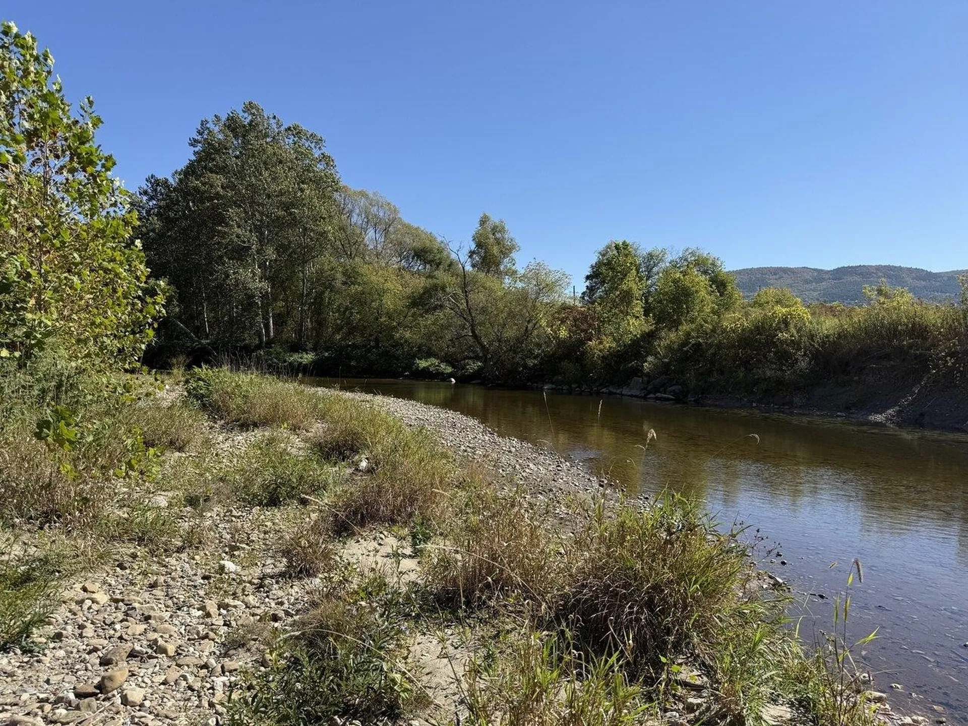 2024 Sycamore Park Bristol VT 05443