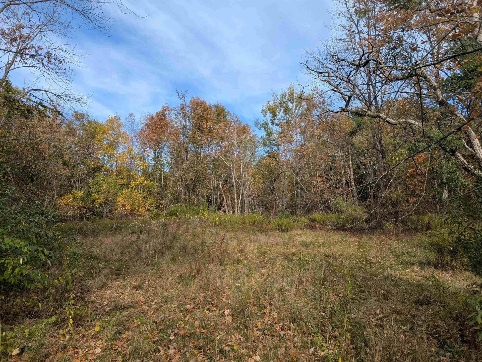 113 Jones Road Effingham NH 03882