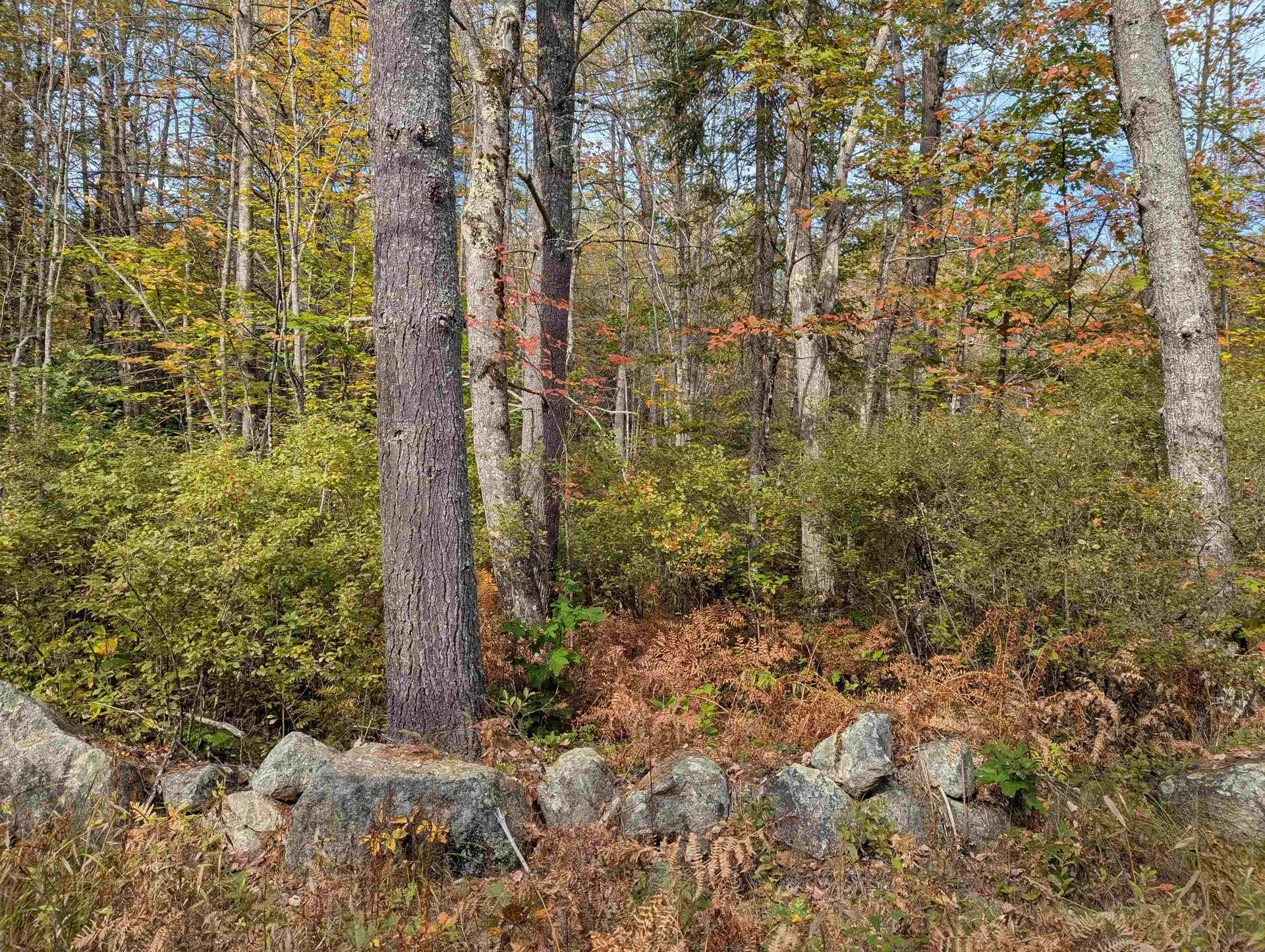 113 Jones Road Effingham NH 03882