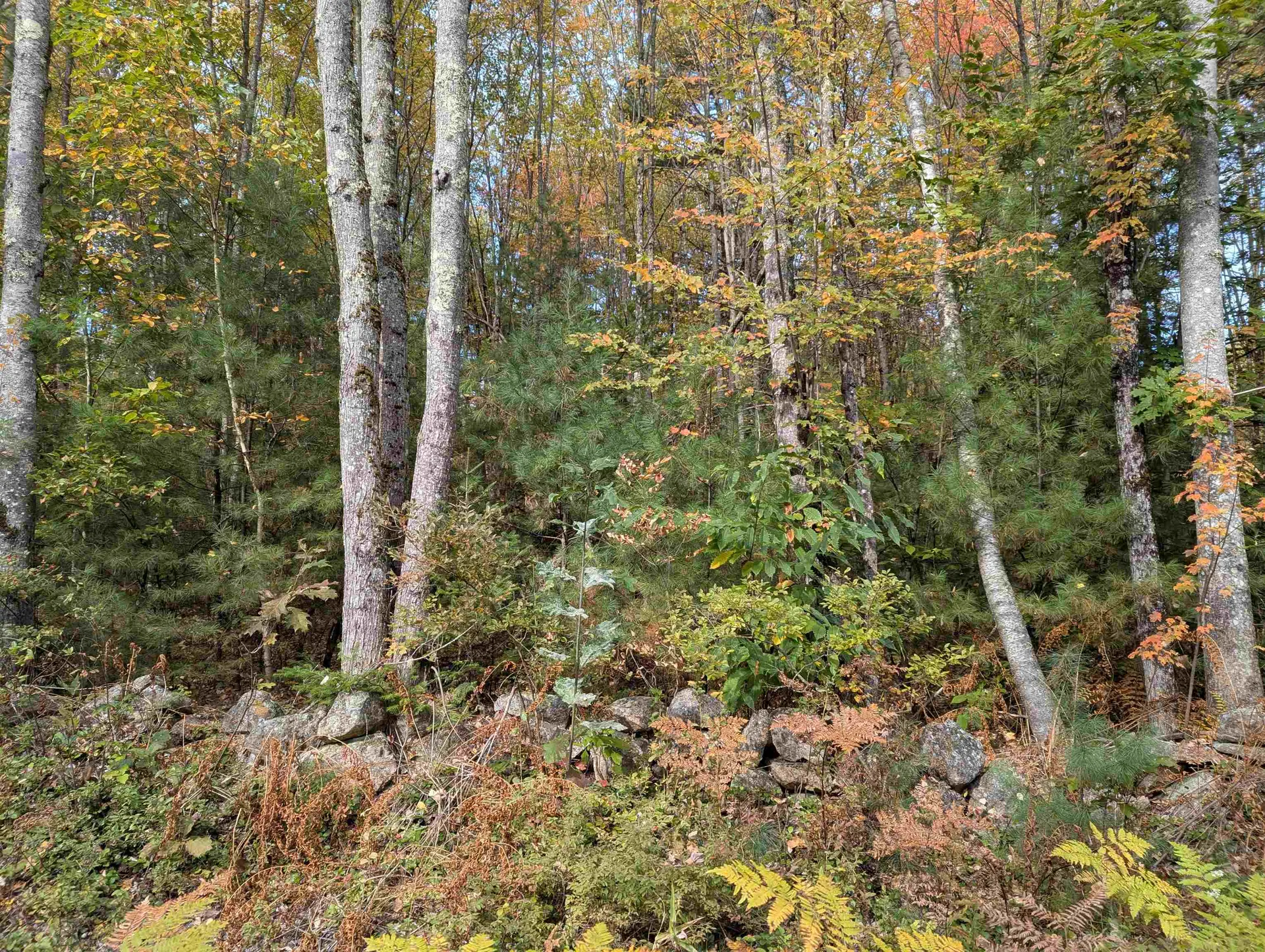 113 Jones Road Effingham NH 03882