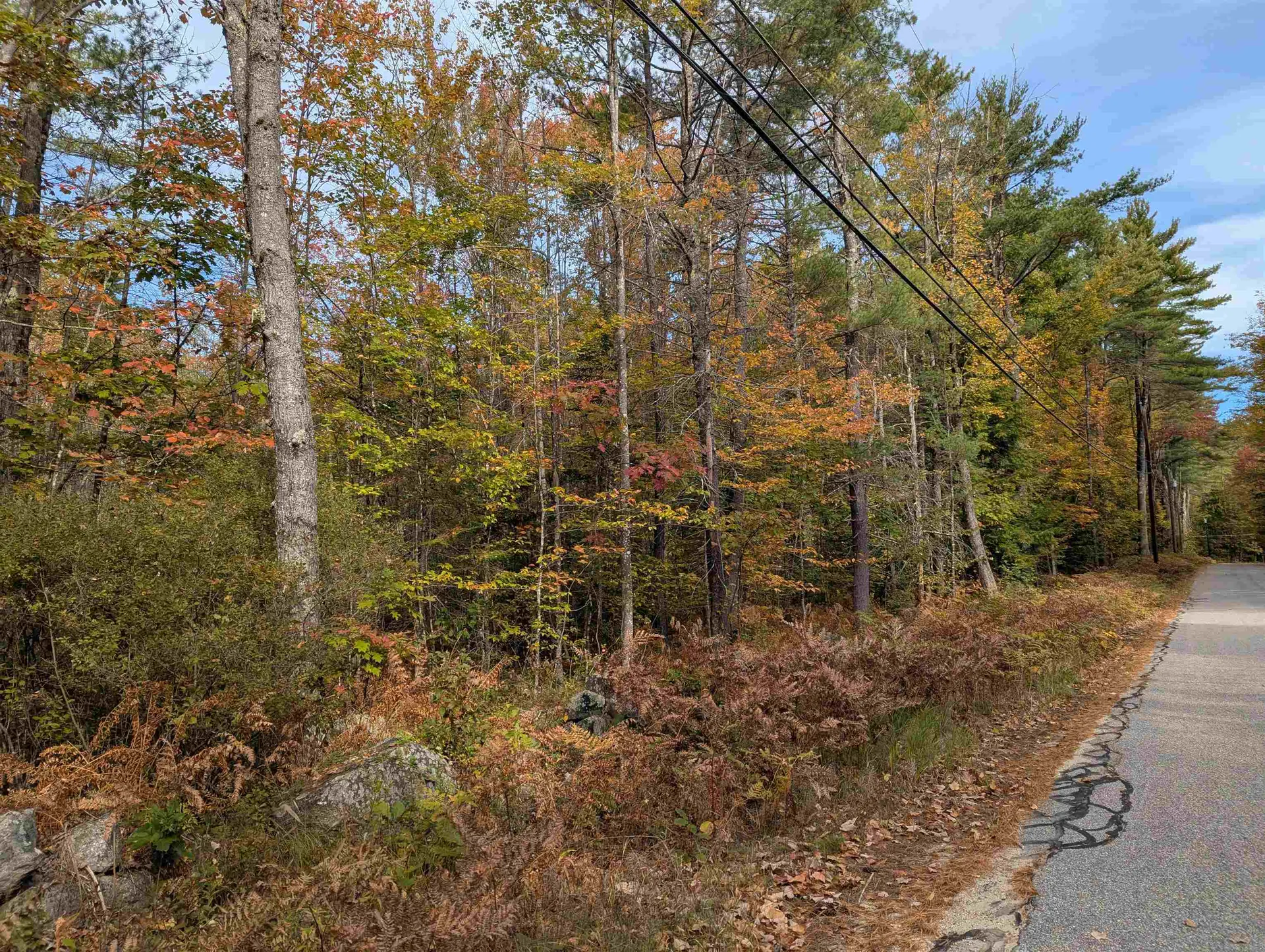 113 Jones Road Effingham NH 03882