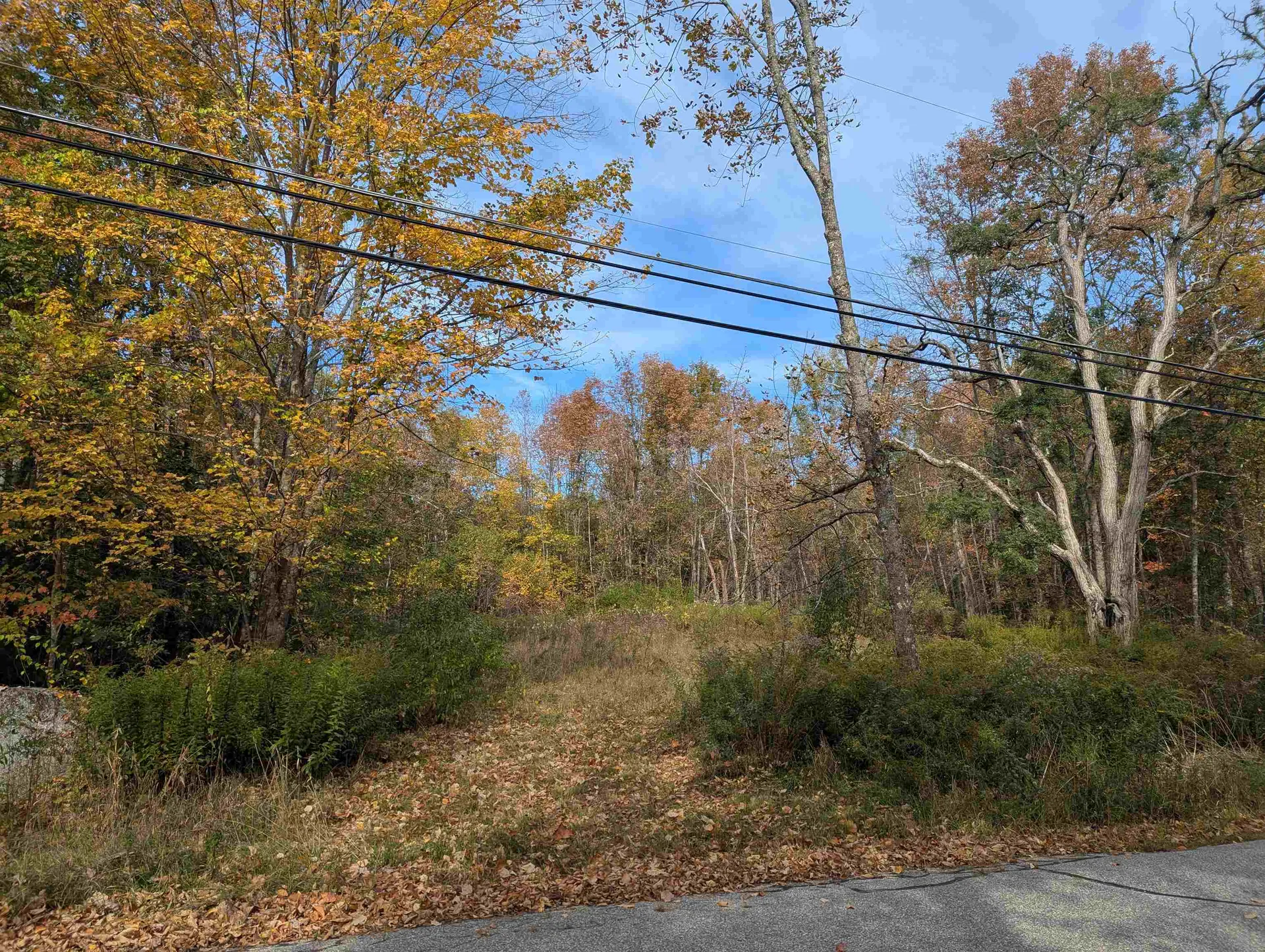 113 Jones Road Effingham NH 03882