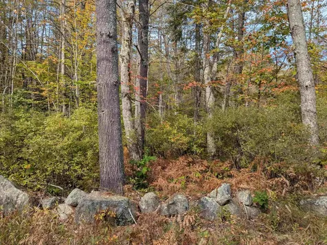 113 Jones Road Effingham NH 03882