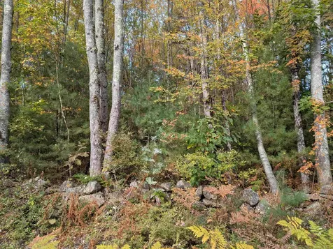 113 Jones Road Effingham NH 03882