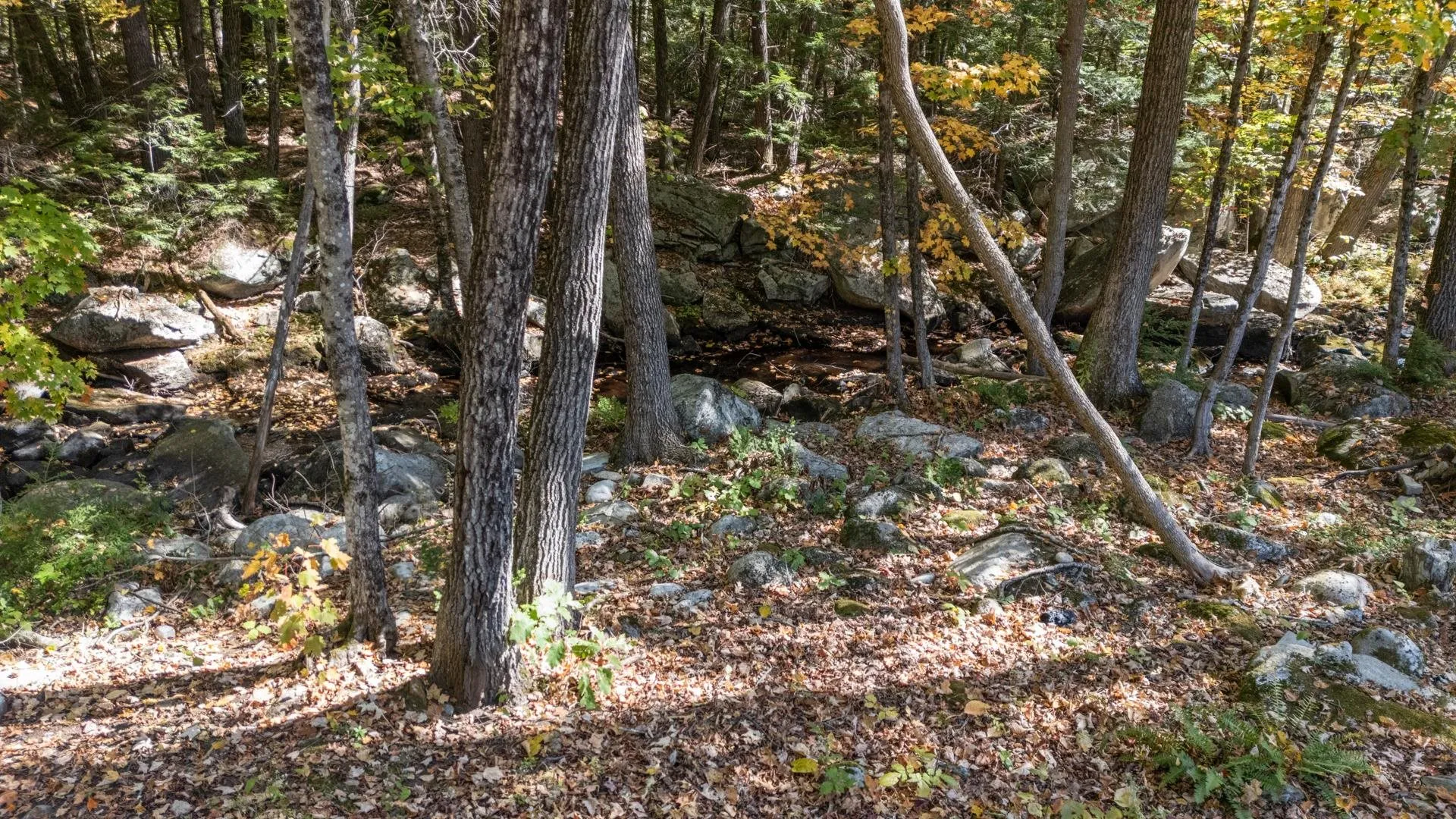 400 Route 11 New Durham NH 03855