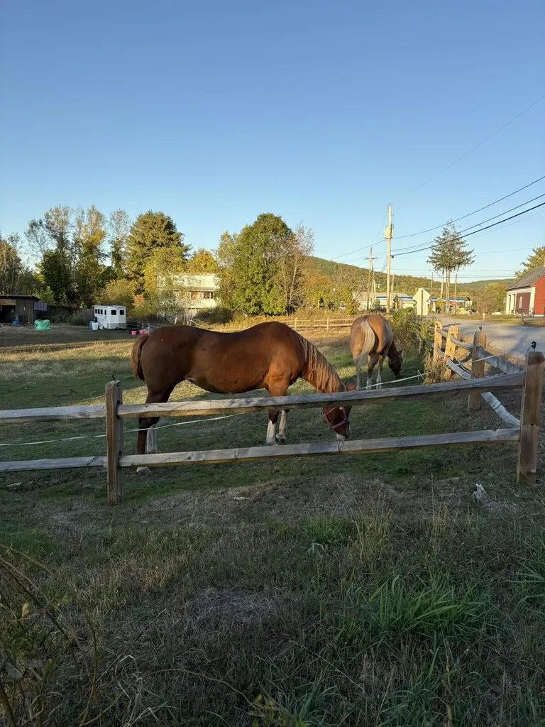 19 Back Ashuelot Road Winchester NH 03470