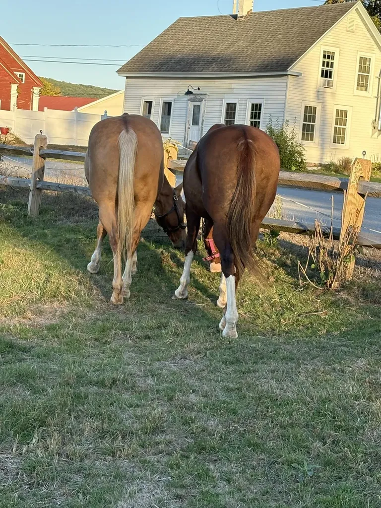 19 Back Ashuelot Road Winchester NH 03470